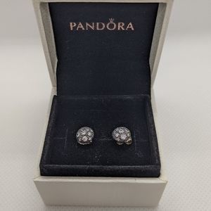 Pandora Earrings